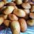 Mes madeleines